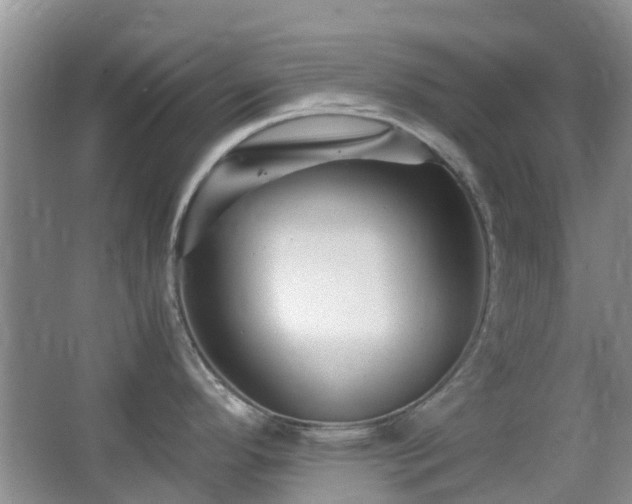 X0000065251296200602171418