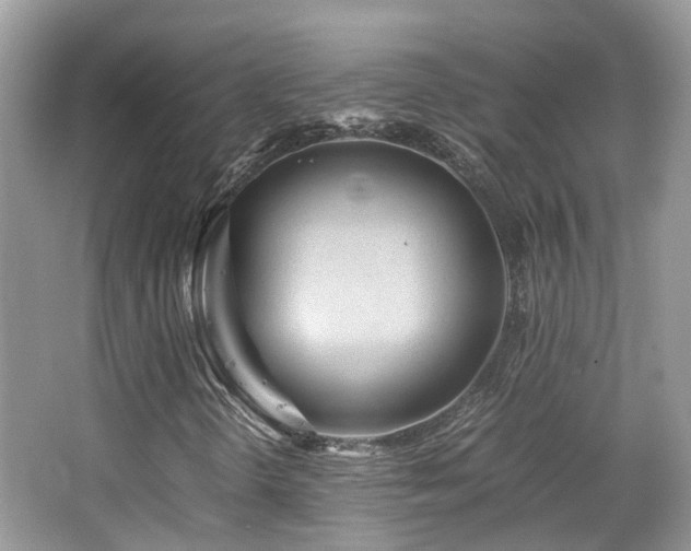 X0000065251298200602171417