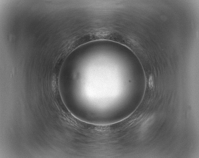 X0000065251299200602171417