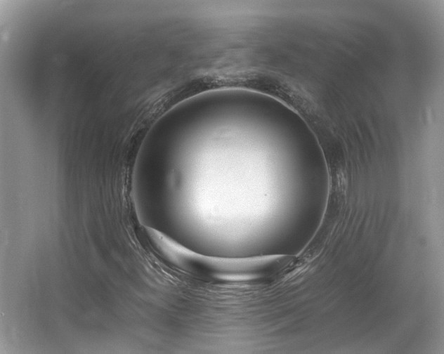 X0000065251300200602171417