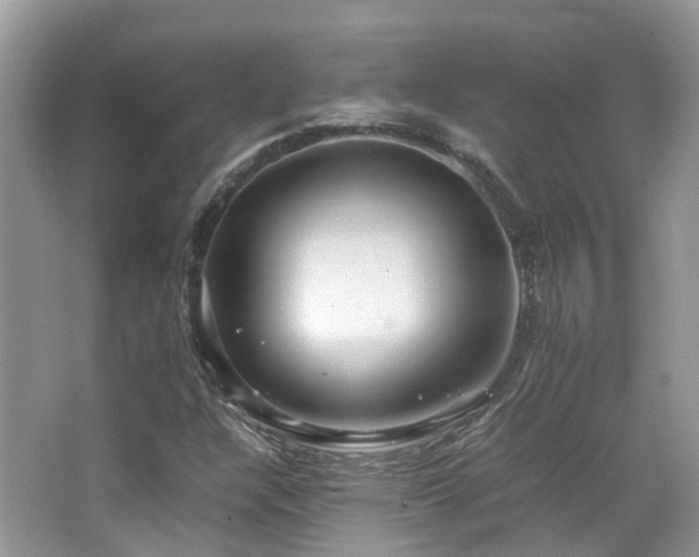 X0000065251304200602171417