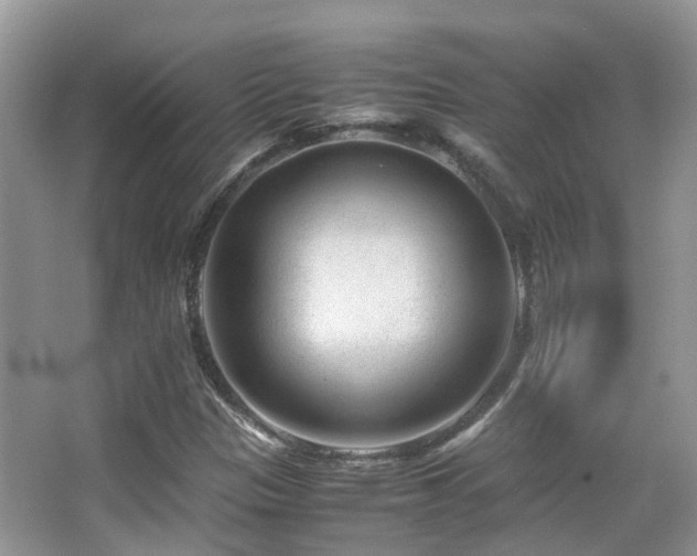 X0000065251305200602171417