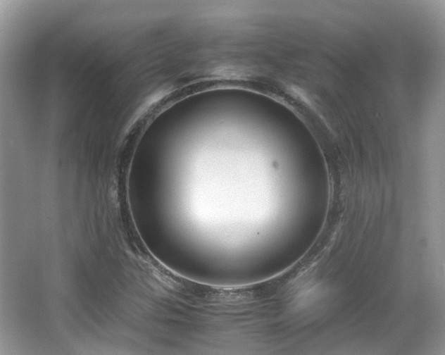 X0000065251307200602171417