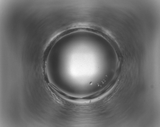 X0000065251312200602171417