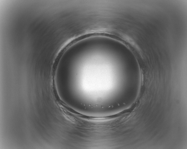 X0000065251316200602171417