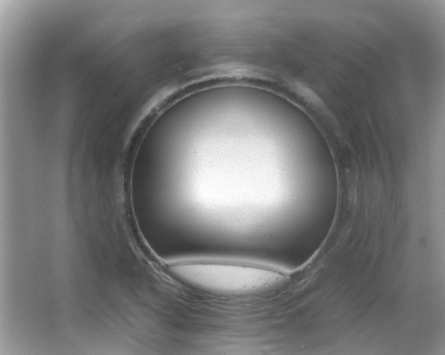 X0000065251318200602171417