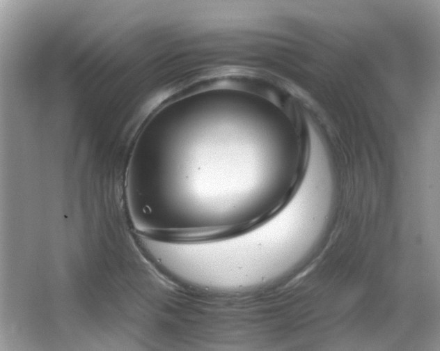 X0000065251321200602171417