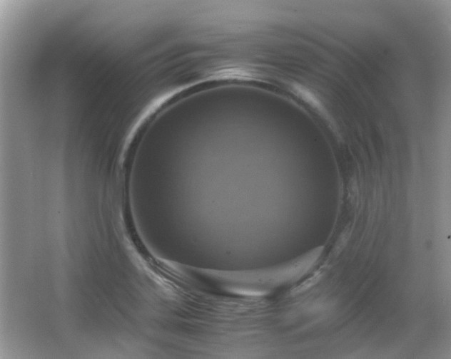 X0000065251323200602171417