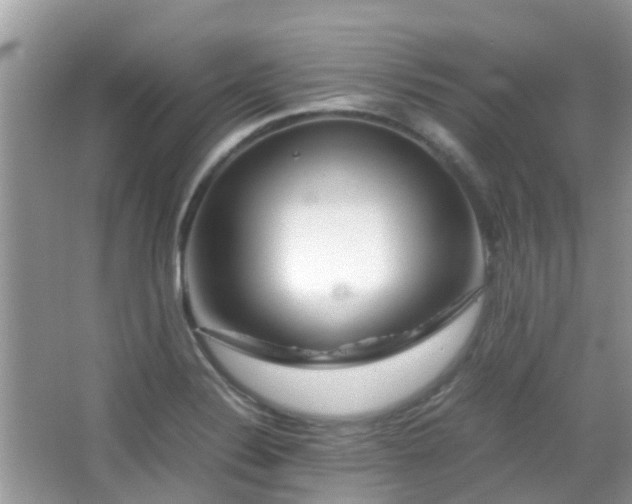 X0000065251324200602171417