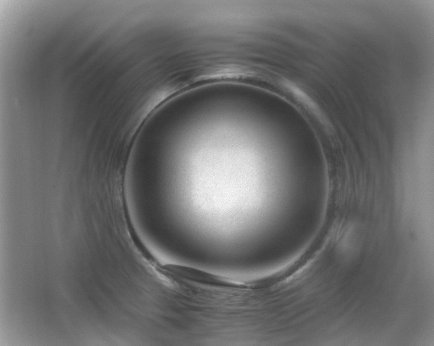 X0000065251329200602171417