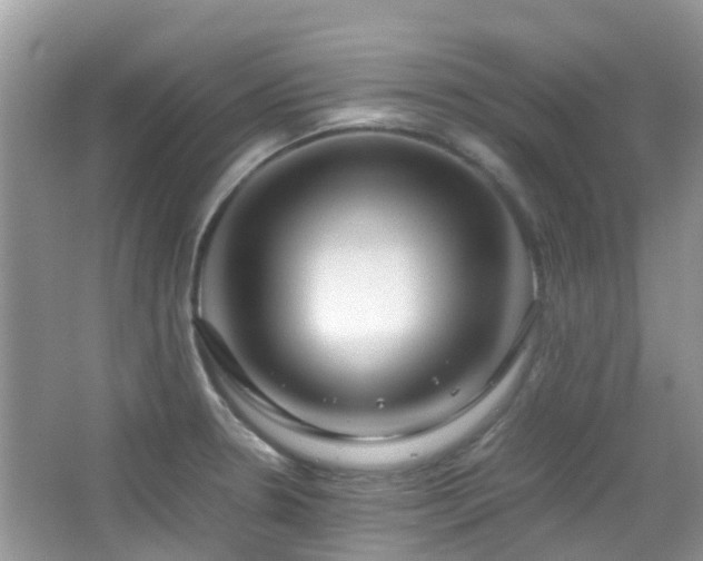 X0000065251330200602171417