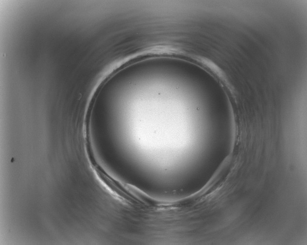 X0000065251335200602171417