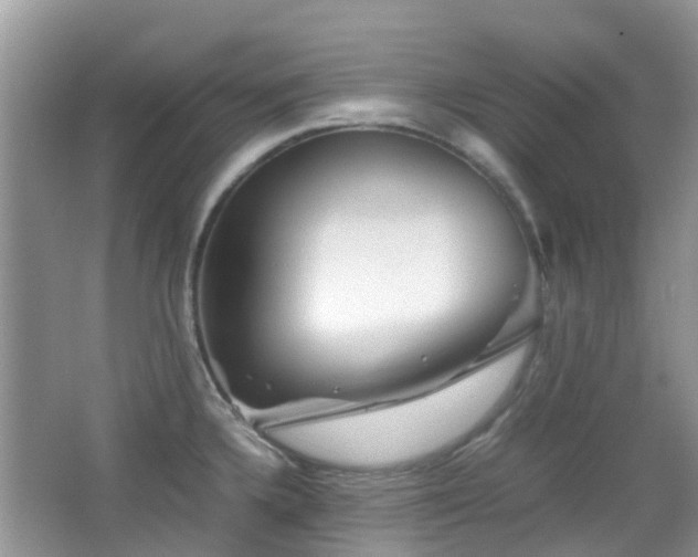 X0000065251336200602171417