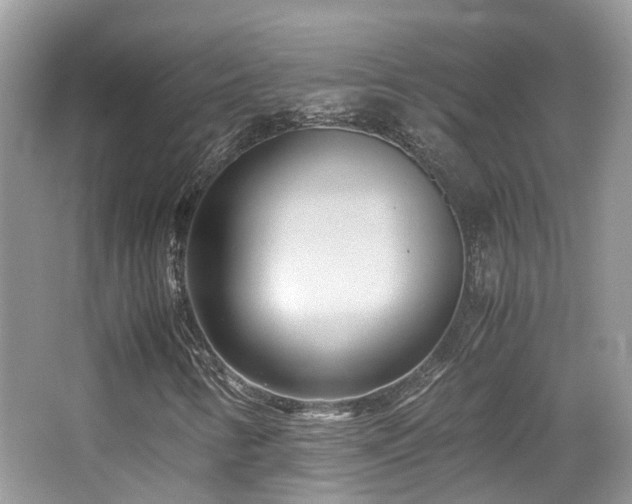 X0000065251346200602171417