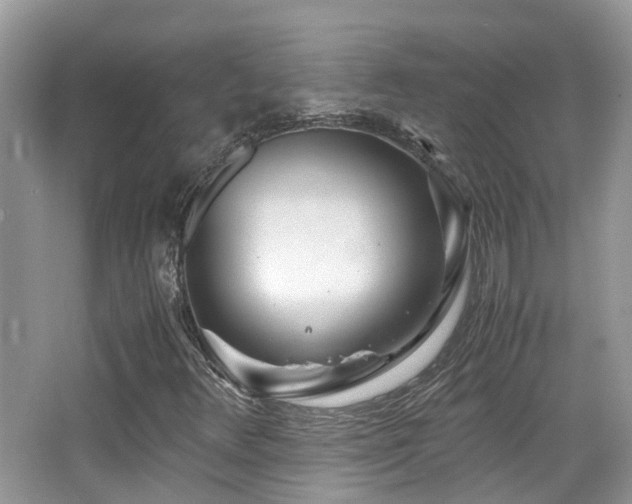 X0000065251348200602171417