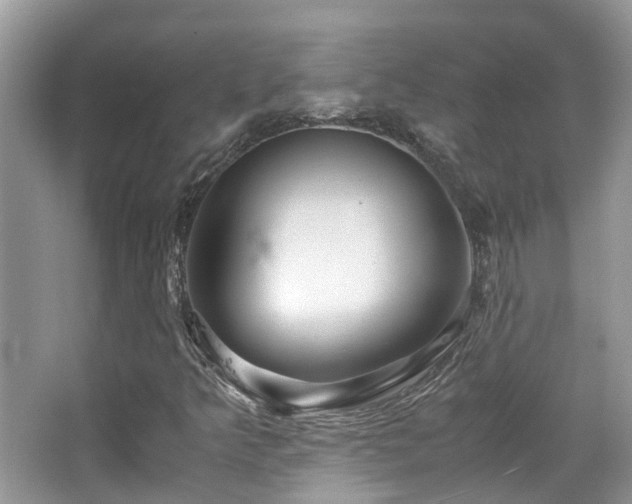 X0000065251349200602171417