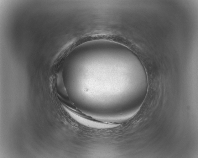 X0000065251351200602171417