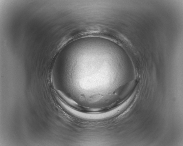 X0000065251353200602171417