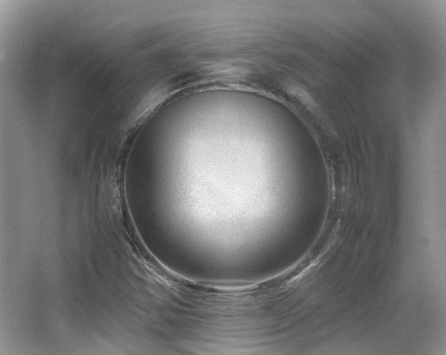 X0000065251354200602171416