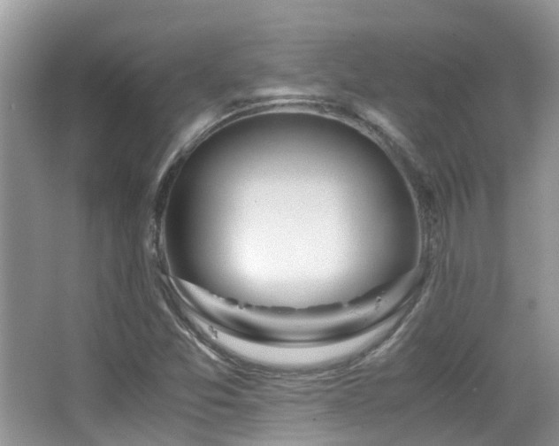 X0000065251357200602171416