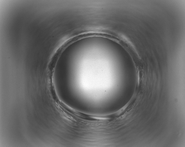 X0000065251360200602171416