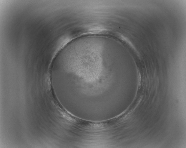 X0000065251362200602171416