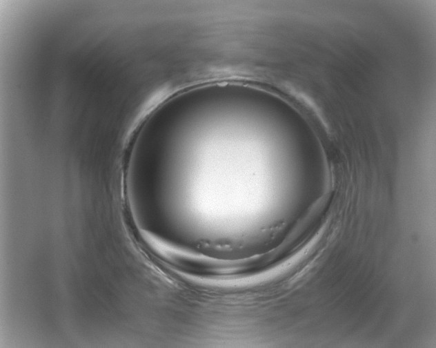 X0000065251365200602171416