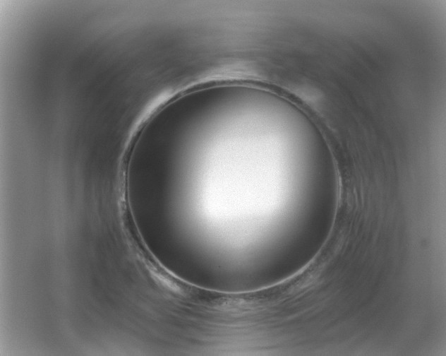 X0000065251366200602171416