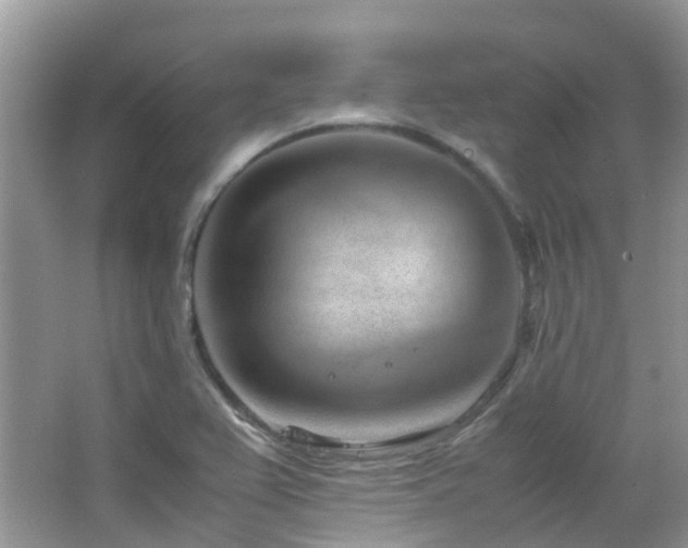 X0000065251367200602171416