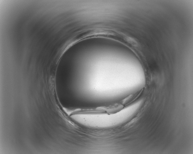 X0000065251369200602171416