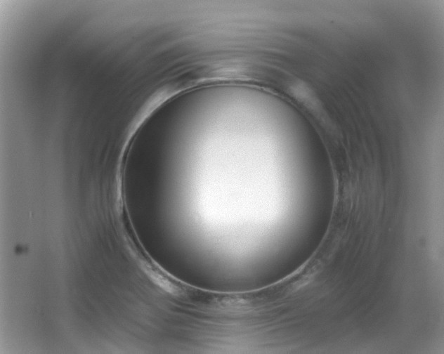 X0000065251370200602171416