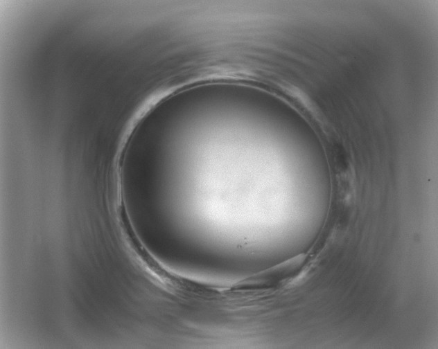 X0000065251371200602171416