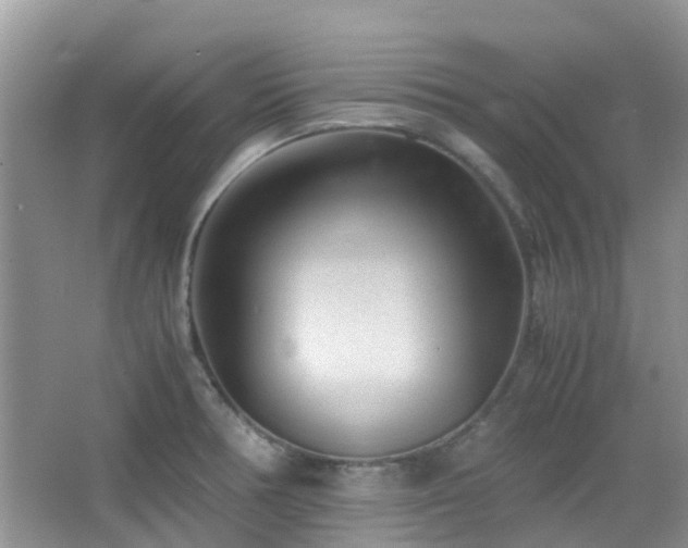 X0000065251378200602171416