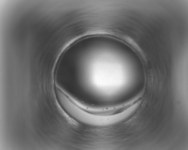 X0000065251380200602171416