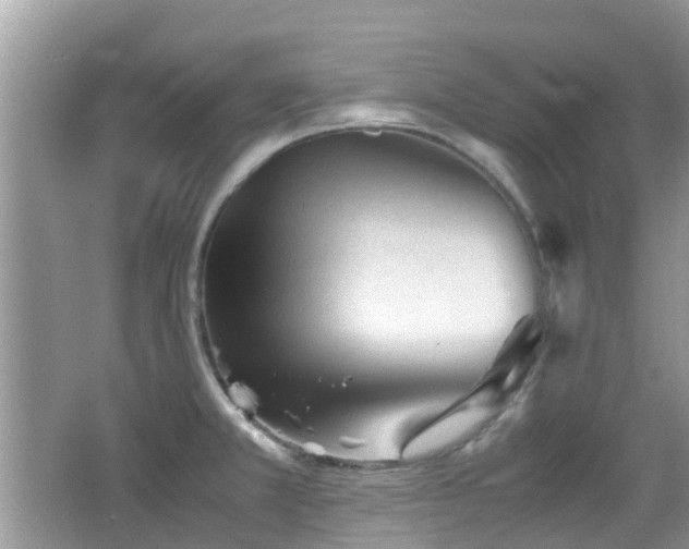 X0000065251381200602171416