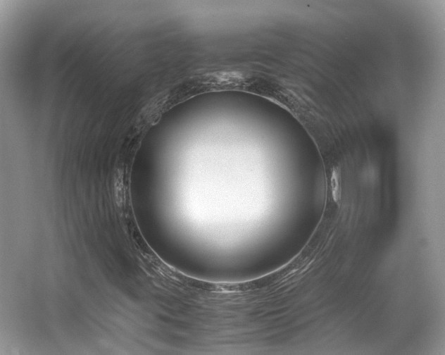 X0000065251395200602171415
