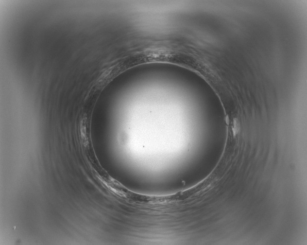 X0000065251396200602171415