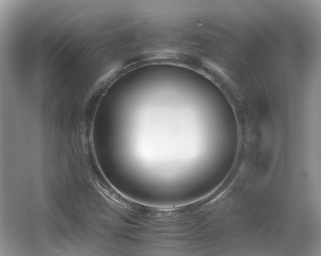 X0000065251403200602171415