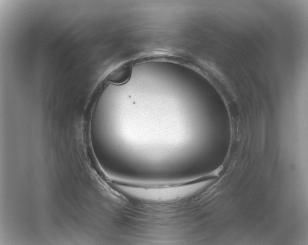 X0000065251404200602171415
