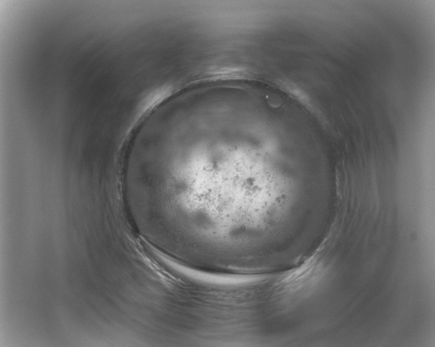 X0000065251405200602171415
