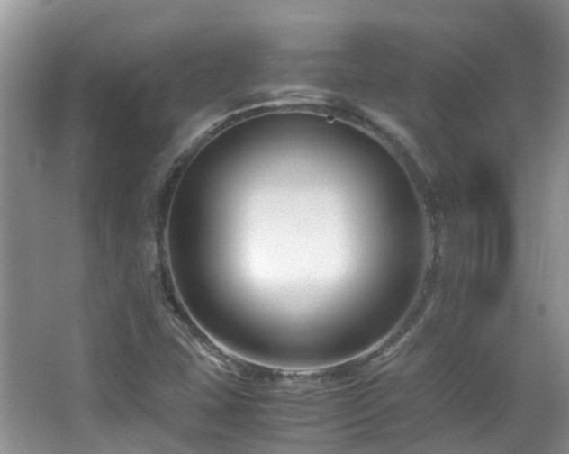 X0000065251407200602171415