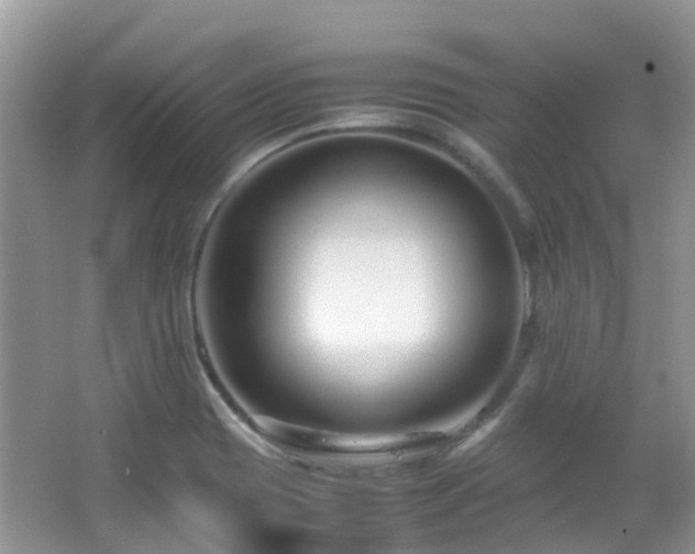 X0000065251417200602171415
