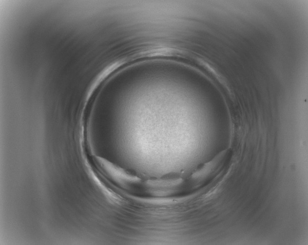 X0000065251418200602171415