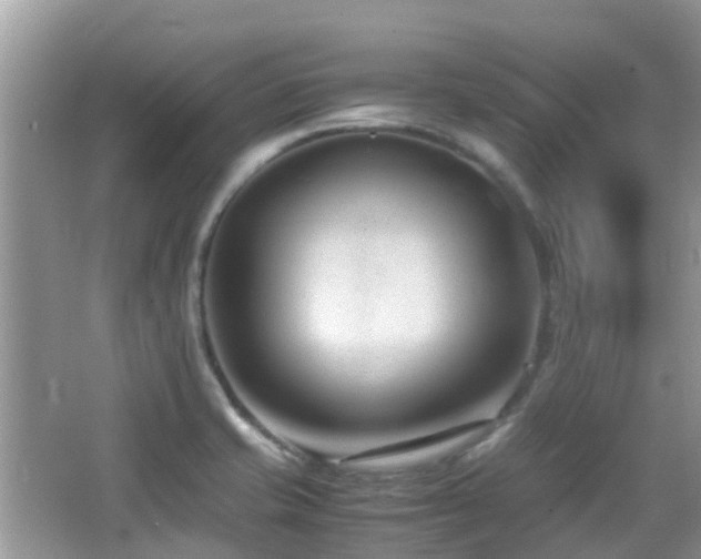 X0000065251421200602171415