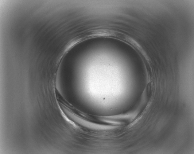 X0000065251433200602171416