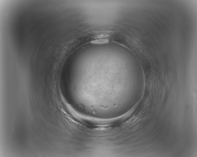 X0000065251441200602171415