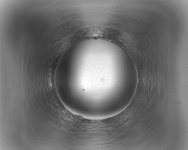 X0000065251442200602171415