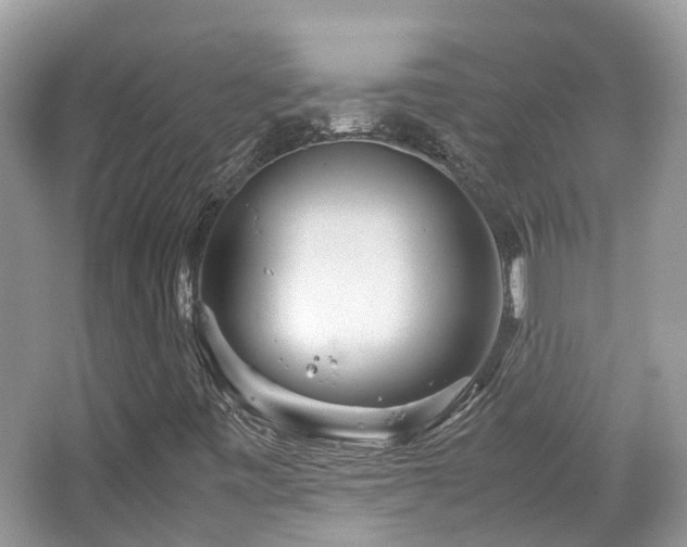 X0000065251443200602171415