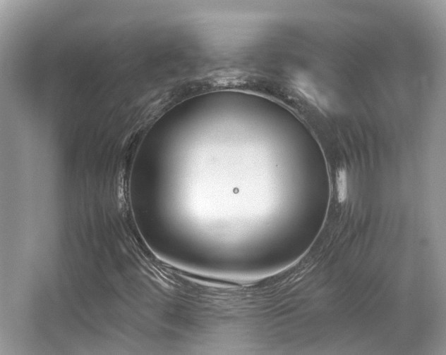X0000065251444200602171415