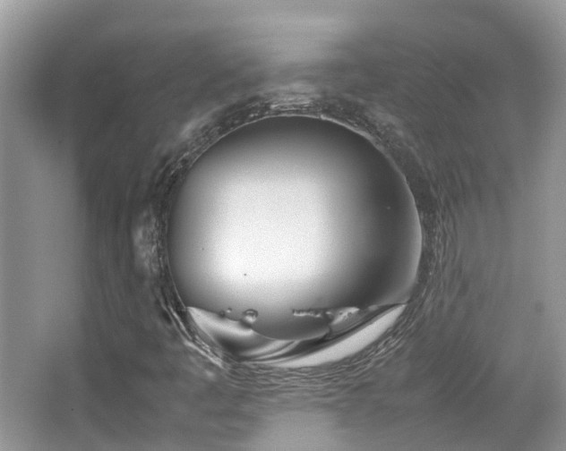 X0000065251445200602171415